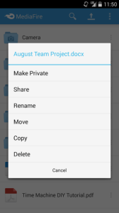 nexus2cee_media3-351x625[1]