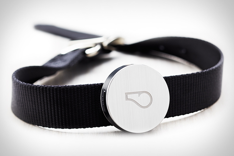 Whistle ofrece collares inteligentes para tu mascota