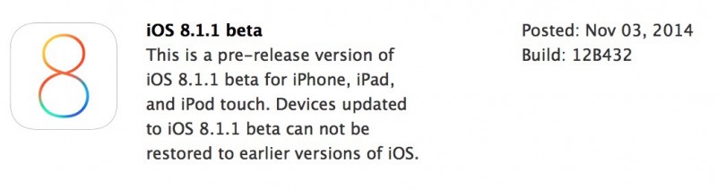 8_1_1_12b432-800x212