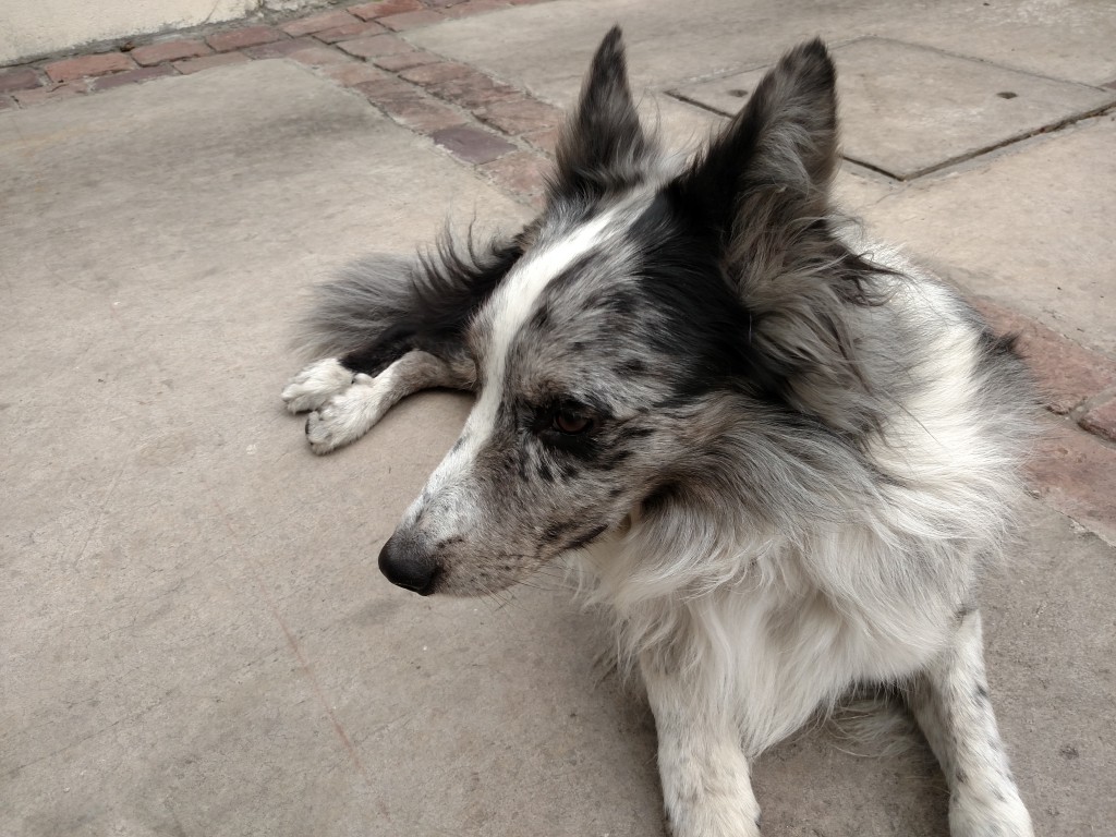 IMG_20141128_162133058