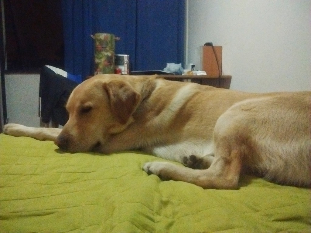 IMG_20150310_224012699