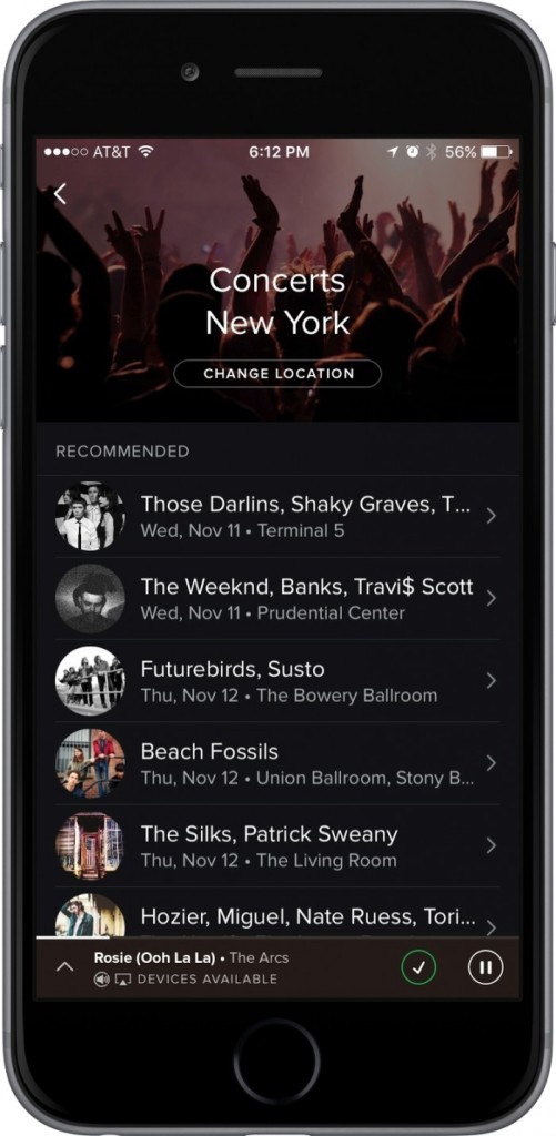 spotify-concert-700x1430