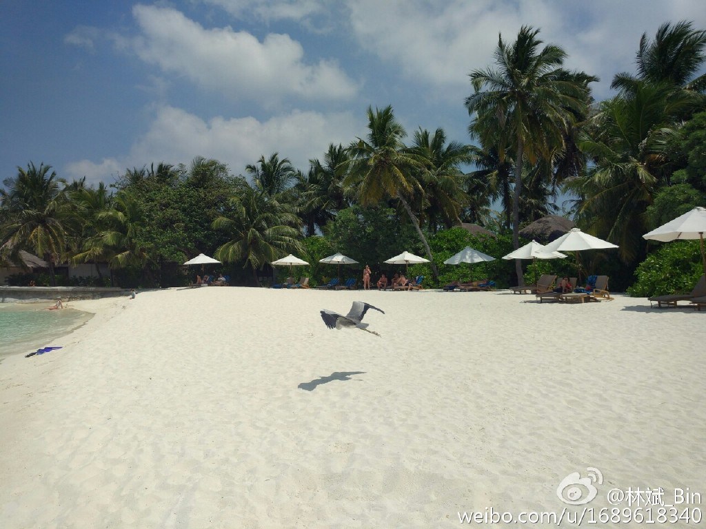 xiaomi-mi-5-camera-sample-01