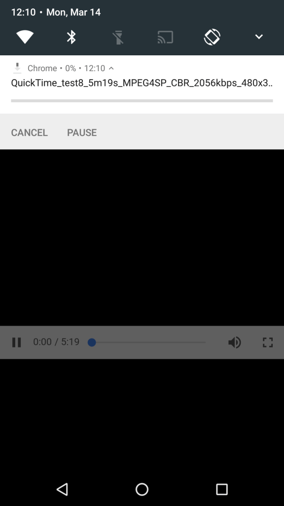 nexus2cee_chrome-50-pause-cancel-1[1]