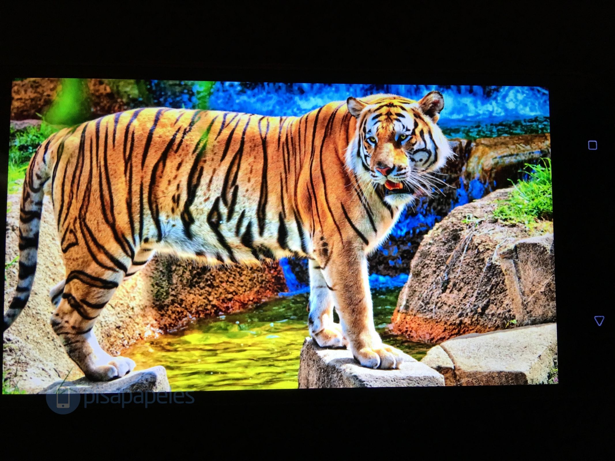 HTC 10 PISAPAPELES.NET