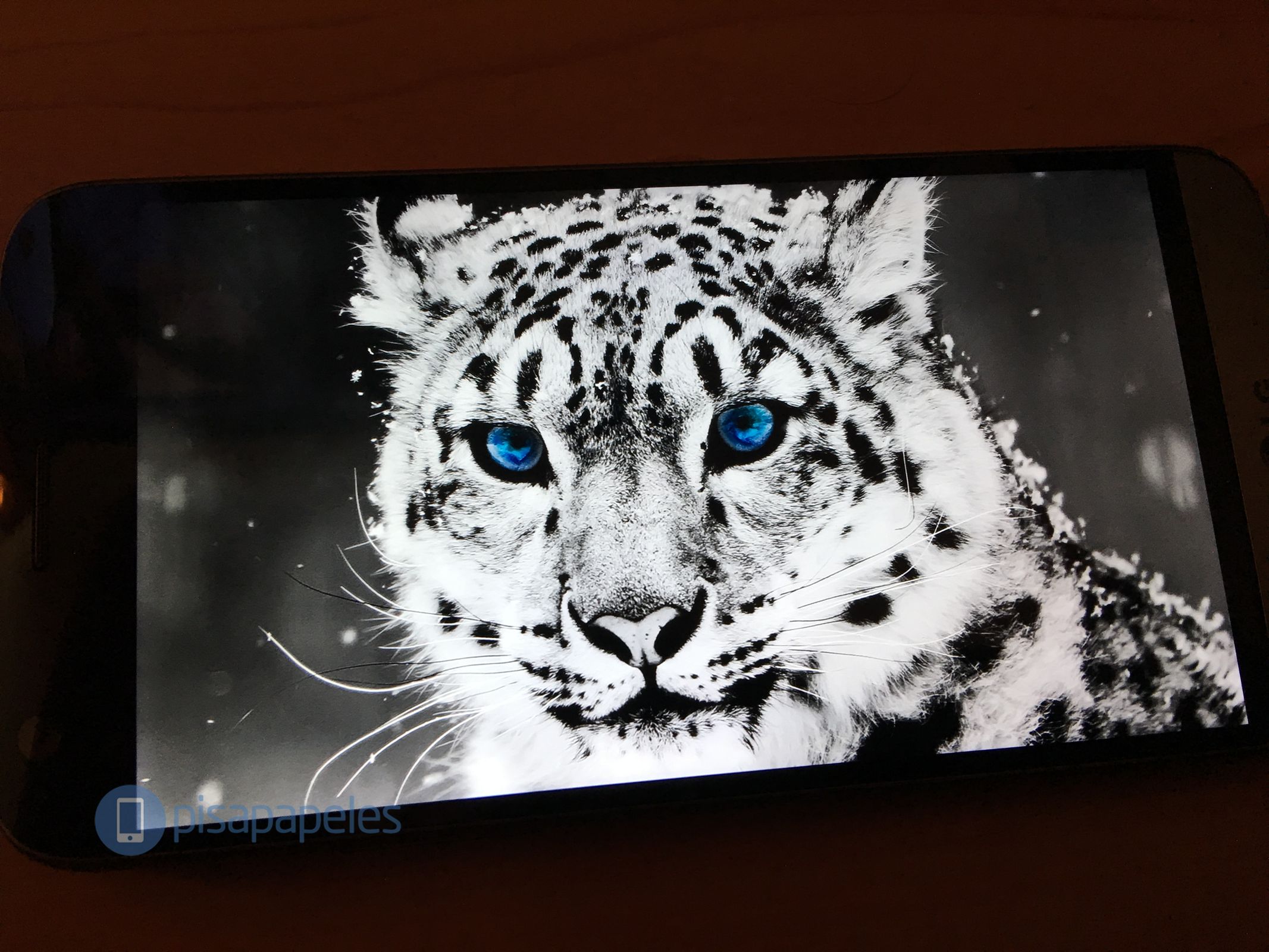 LG G5 PISAPAPELES.NET_23