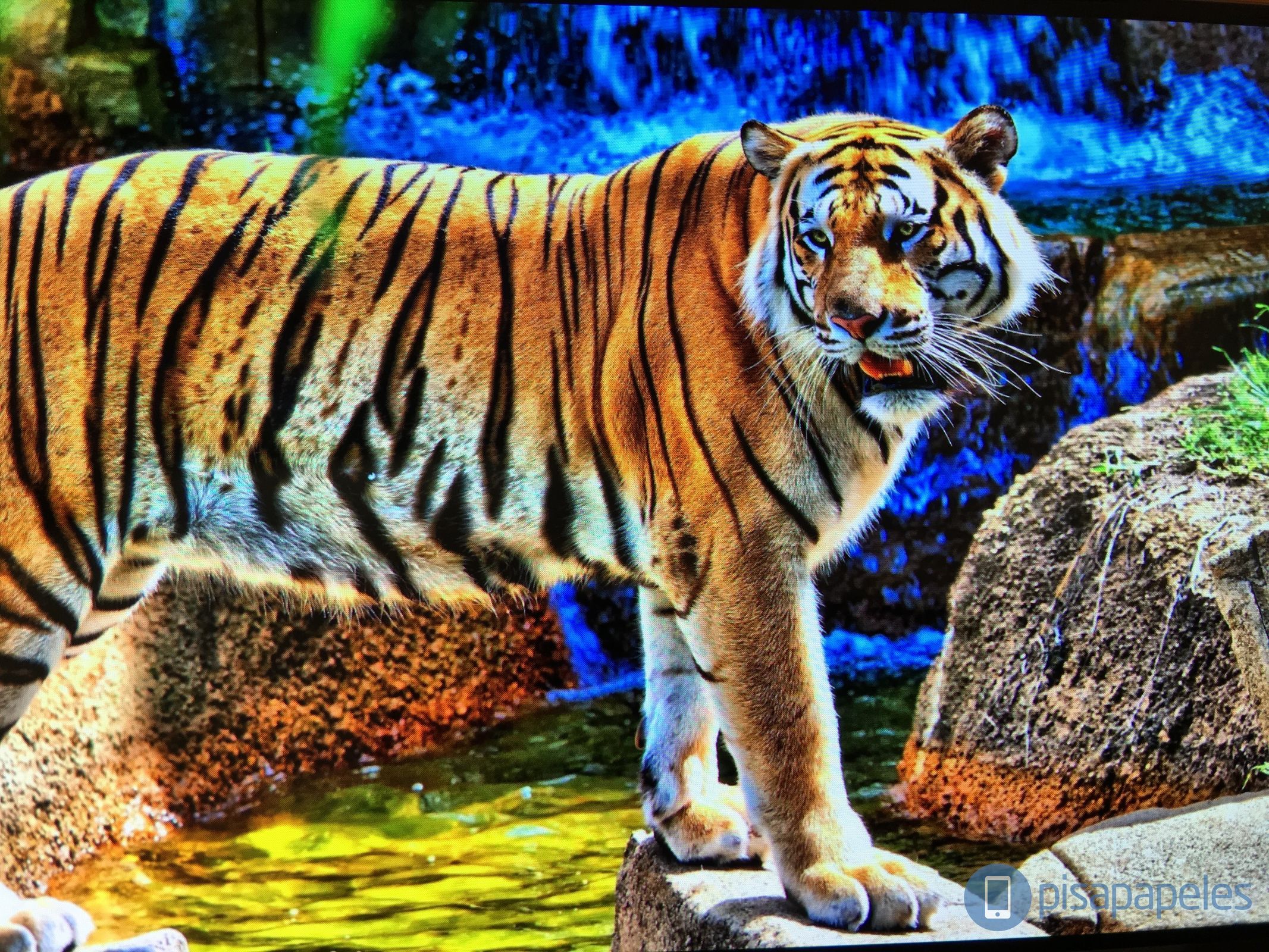 ONEPLUS 3 PISAPAPELES.NET _1