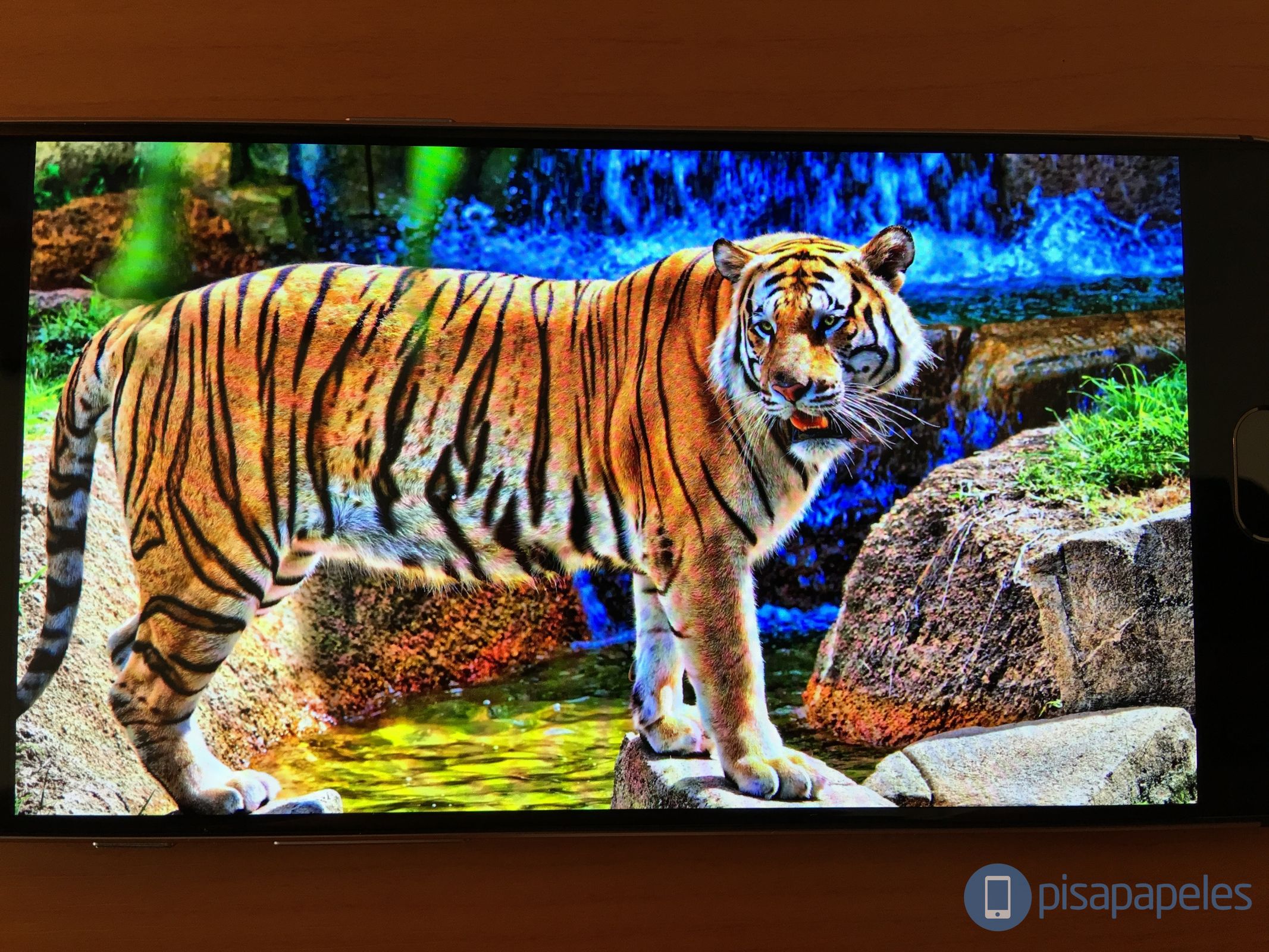 ONEPLUS 3 PISAPAPELES.NET _2