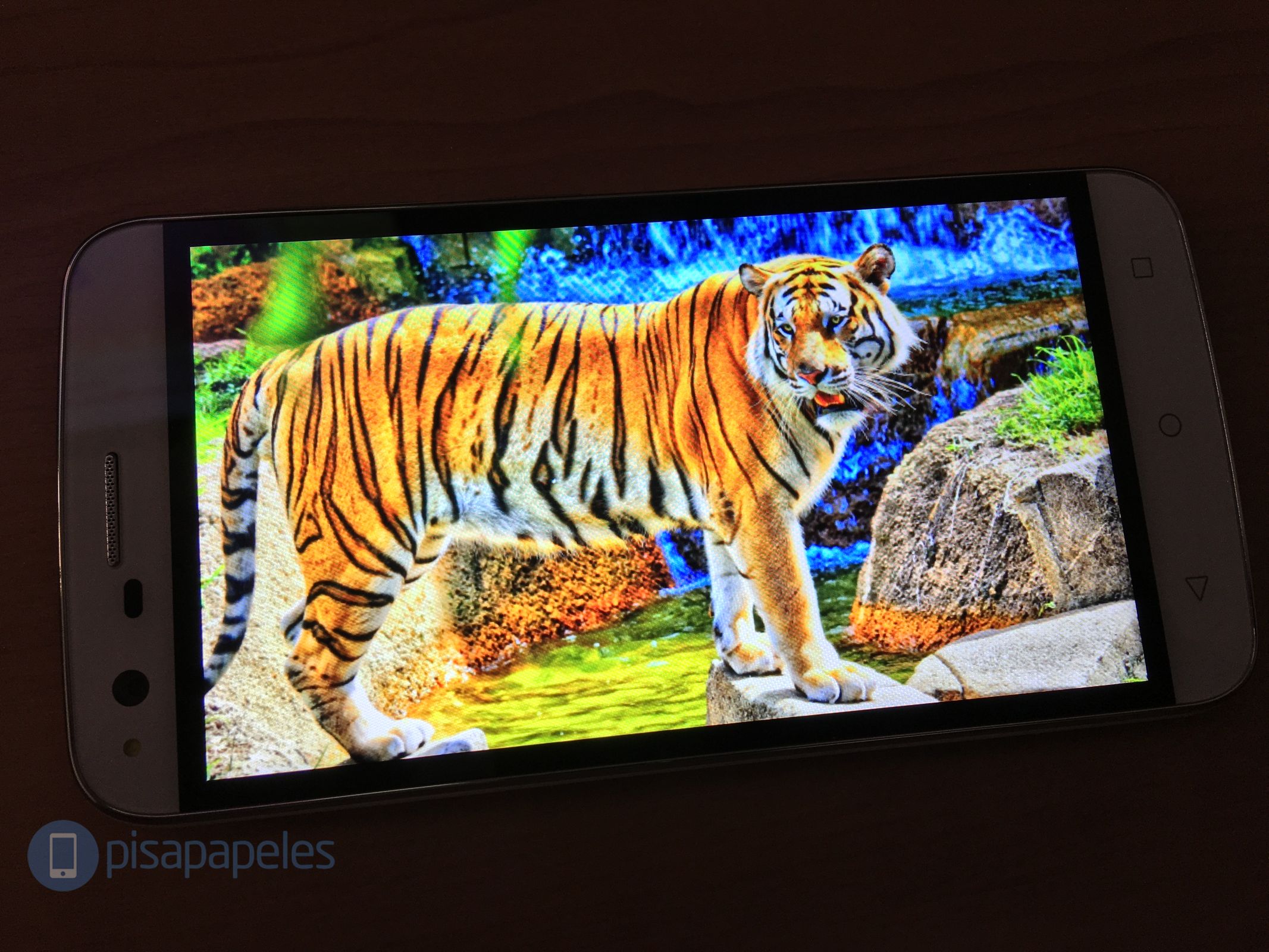 ELEMENTT FLASH PISAPAPELES.NET