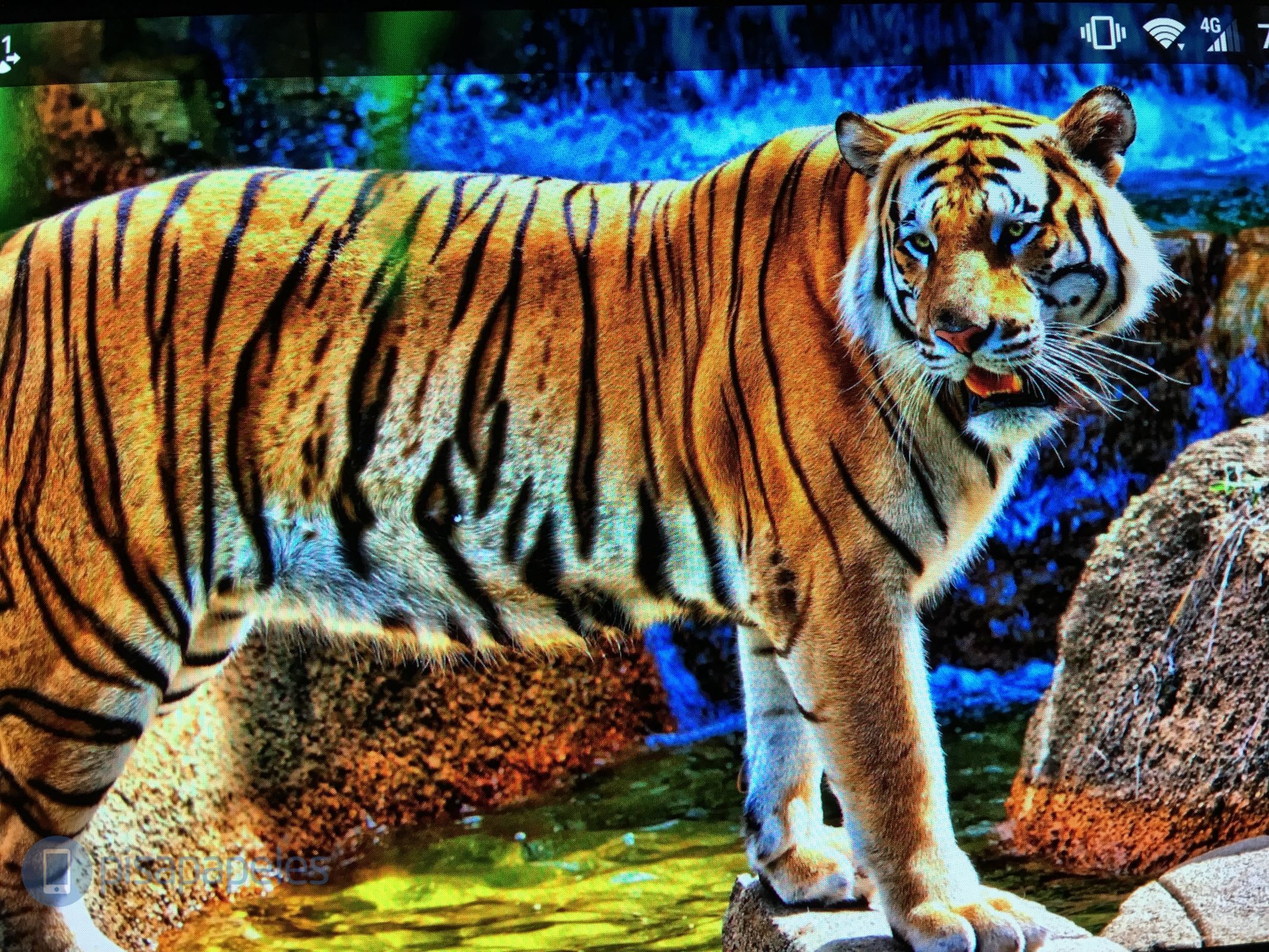 ZTE AXON MINI PISAPAPELES.NET _5