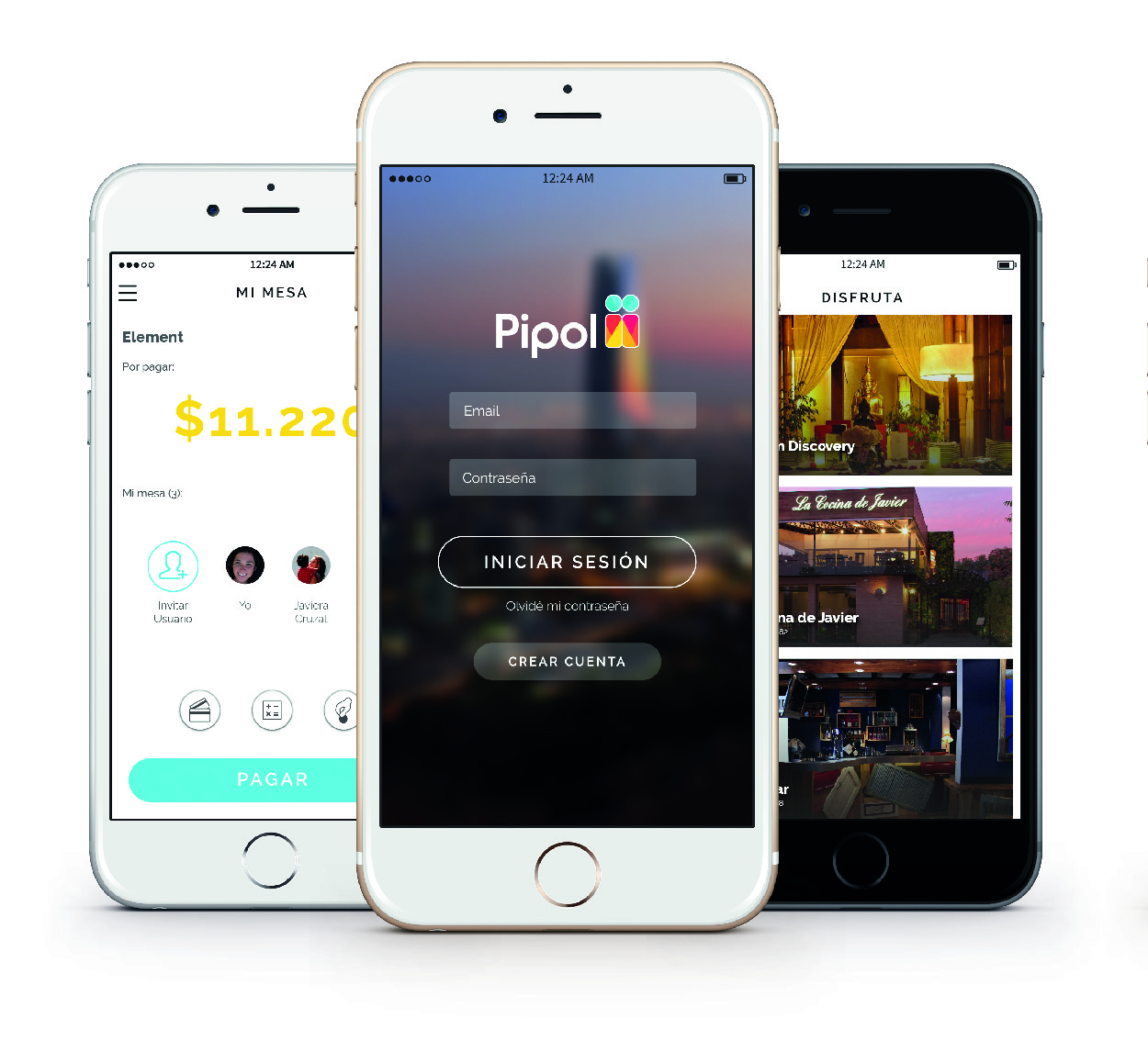 Pipol app 1 (alta)