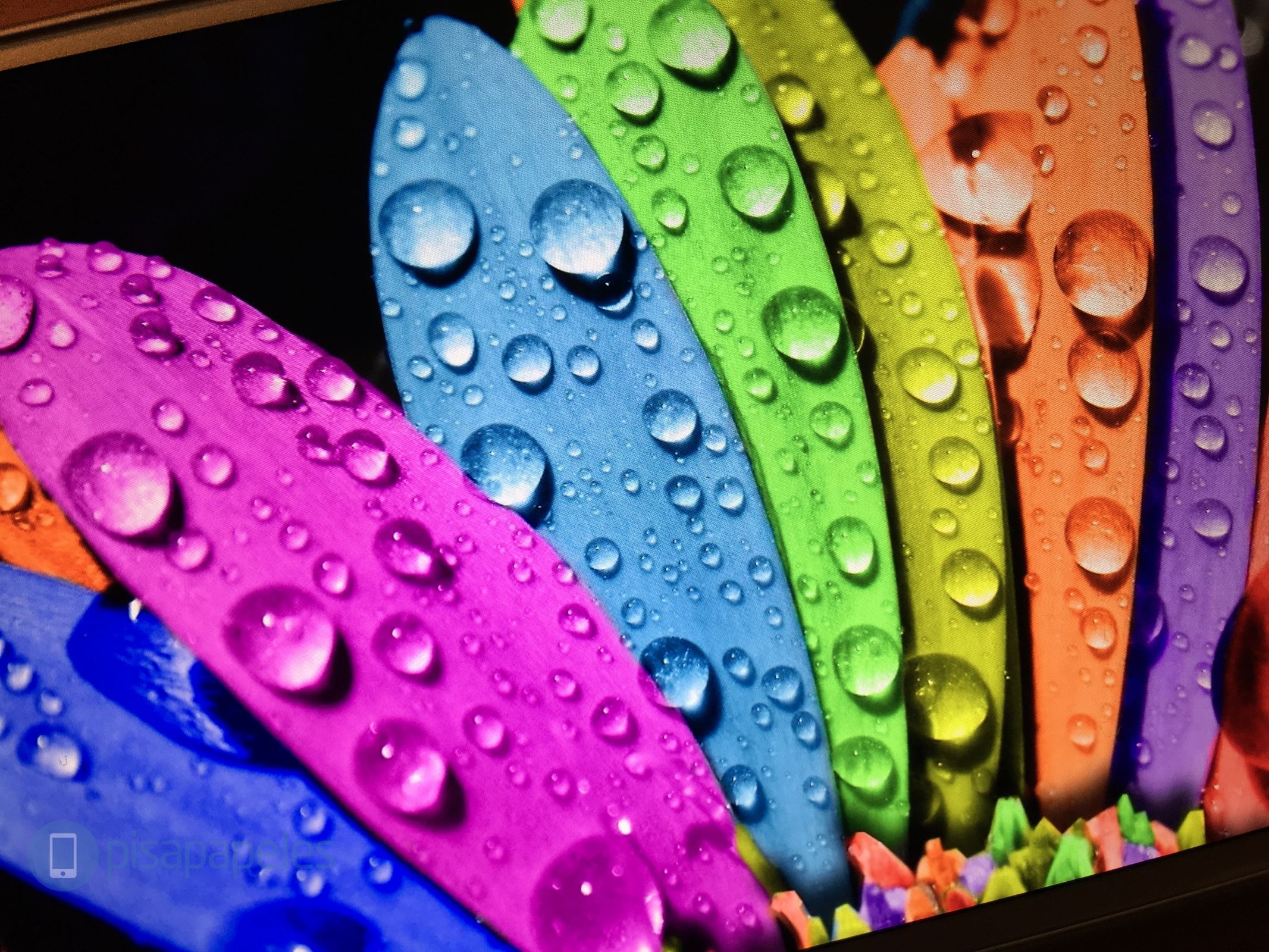 SONY XPERIA X PERFORMANCE PISAPAPELES.NET_1