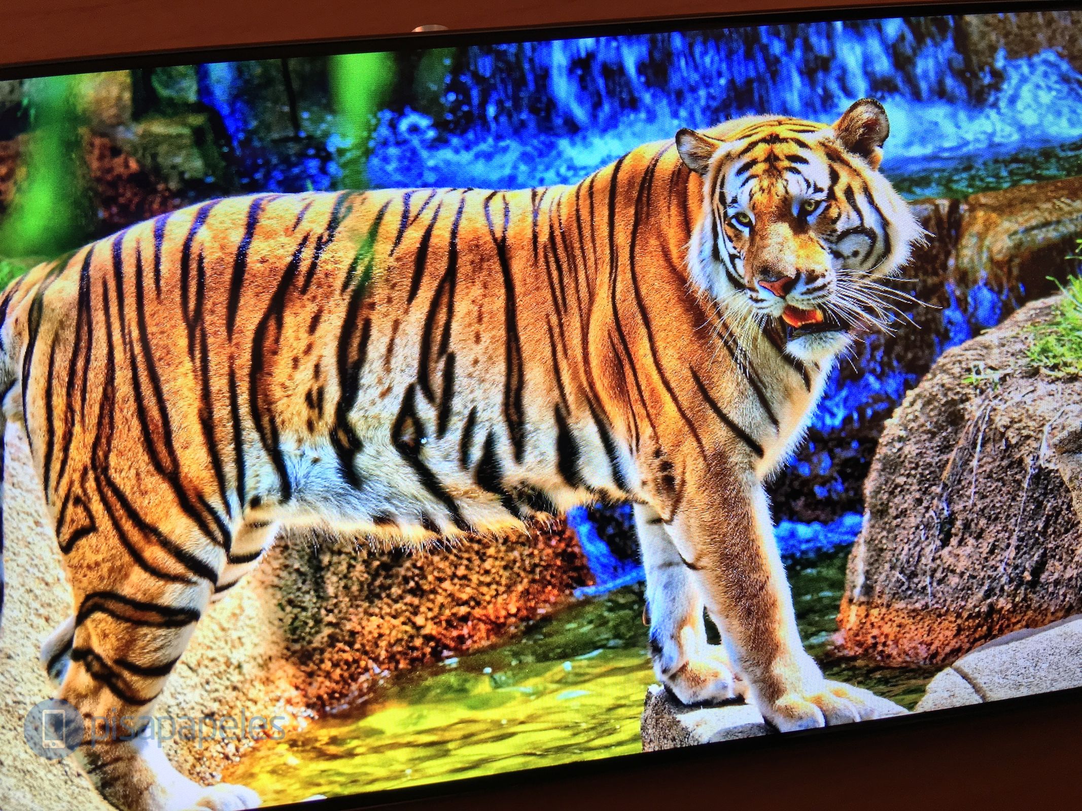 SONY XPERIA XA PISAPAPELES.NET_5