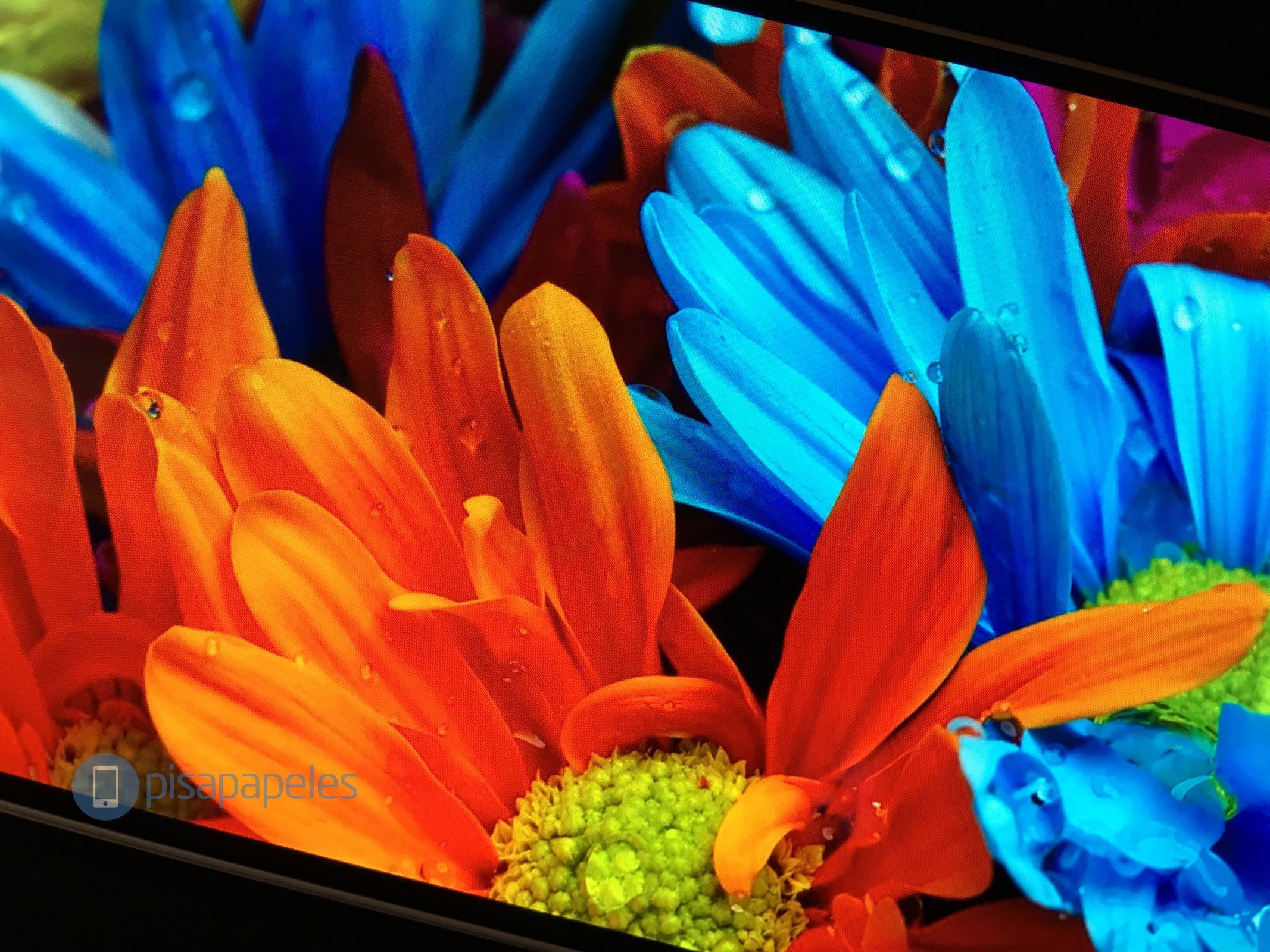 huawei-p9-plus-pisapapeles-net_4