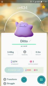 ditto-1
