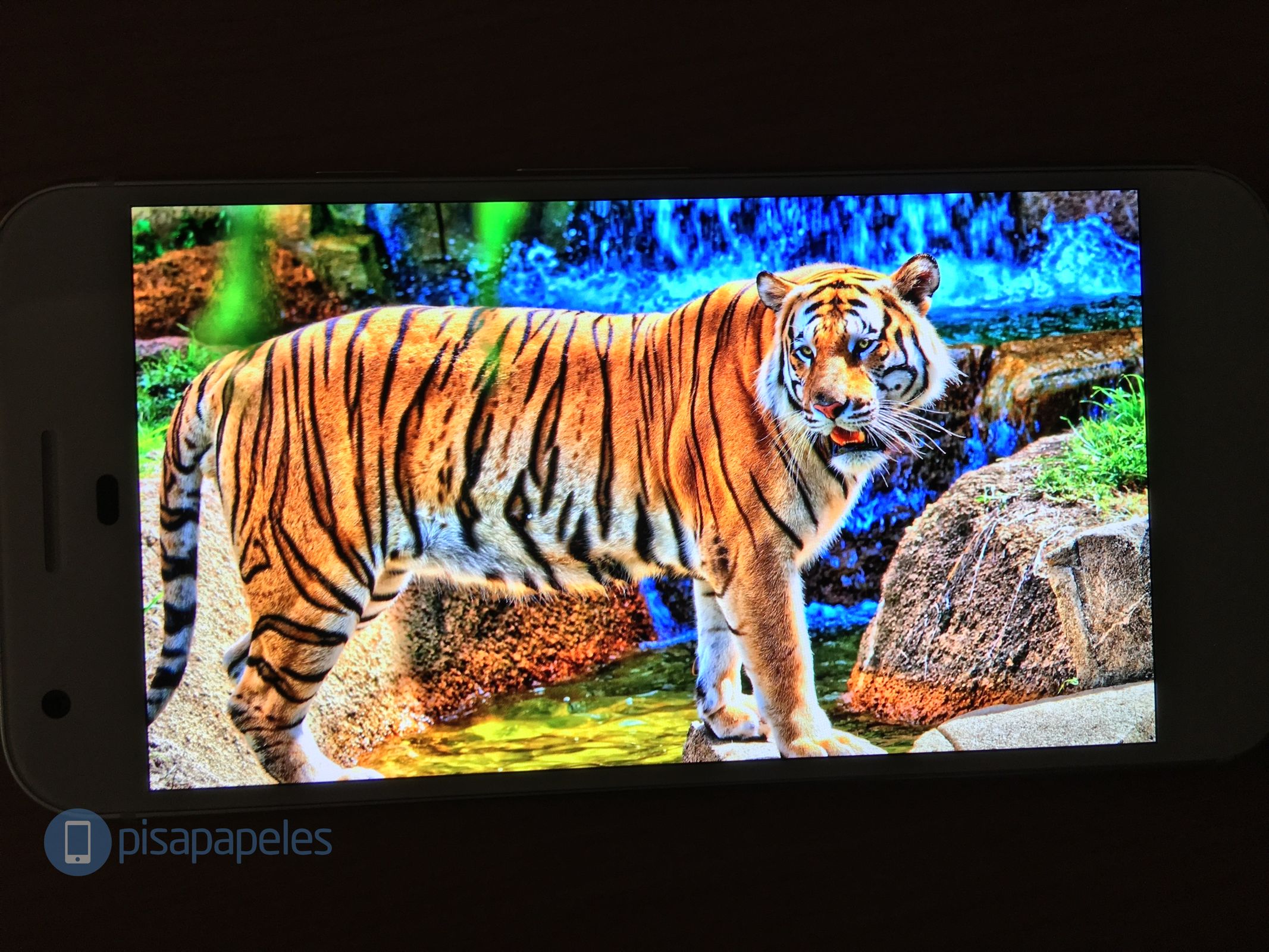 google-pixel-pisapapeles-net_1