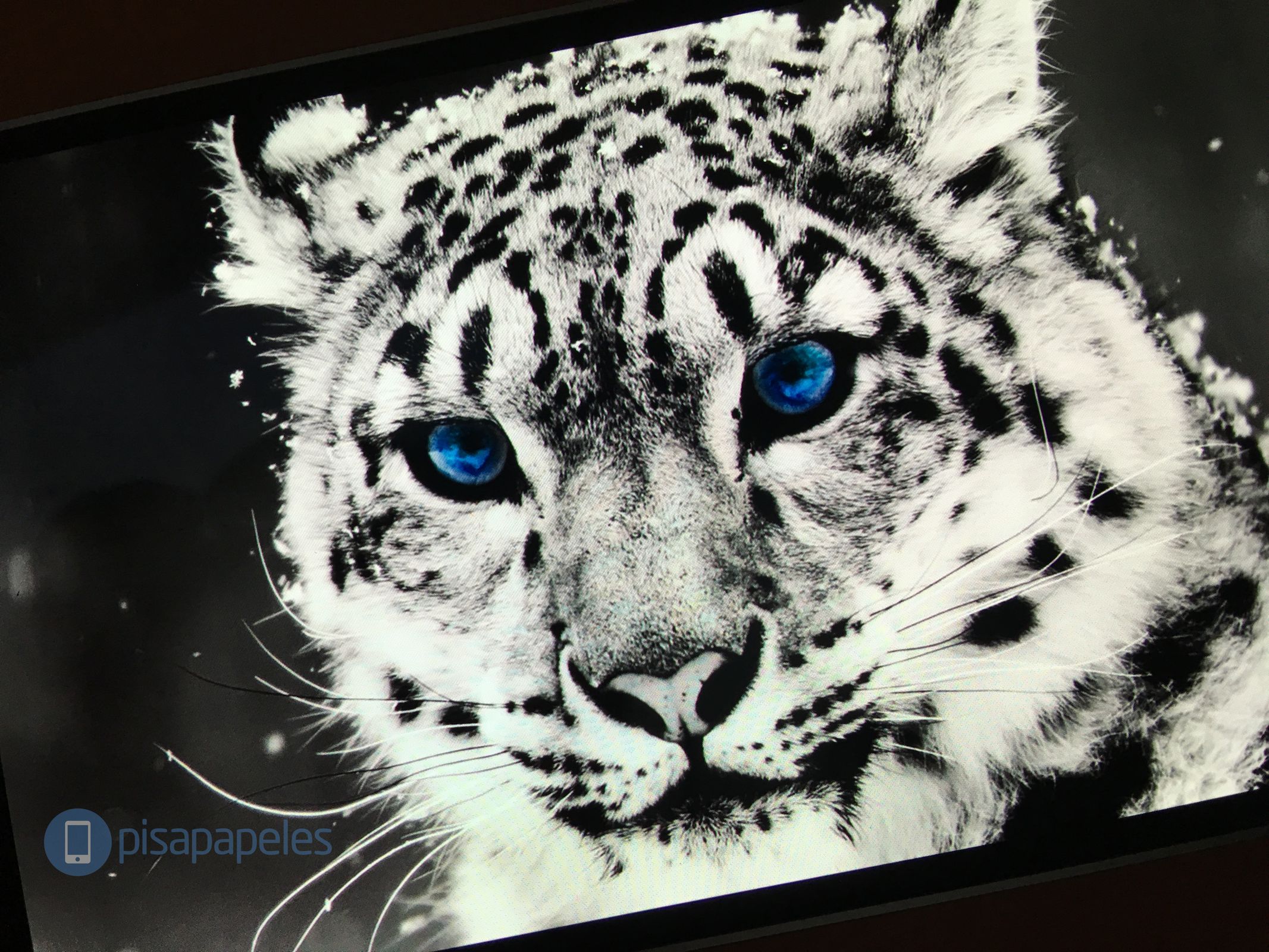 moto-z-play-pisapapeles-net_3