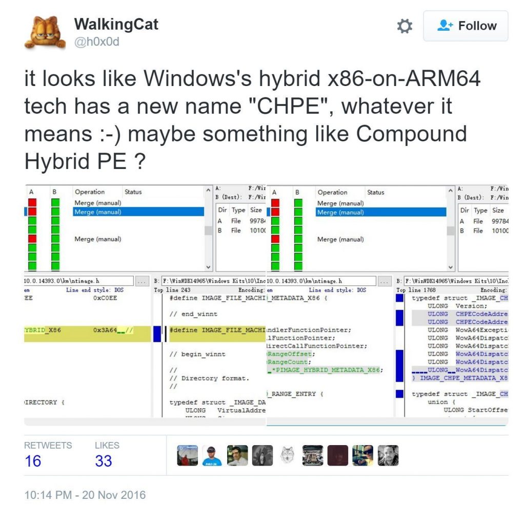 walkingcat-chpe-100694882-orig1