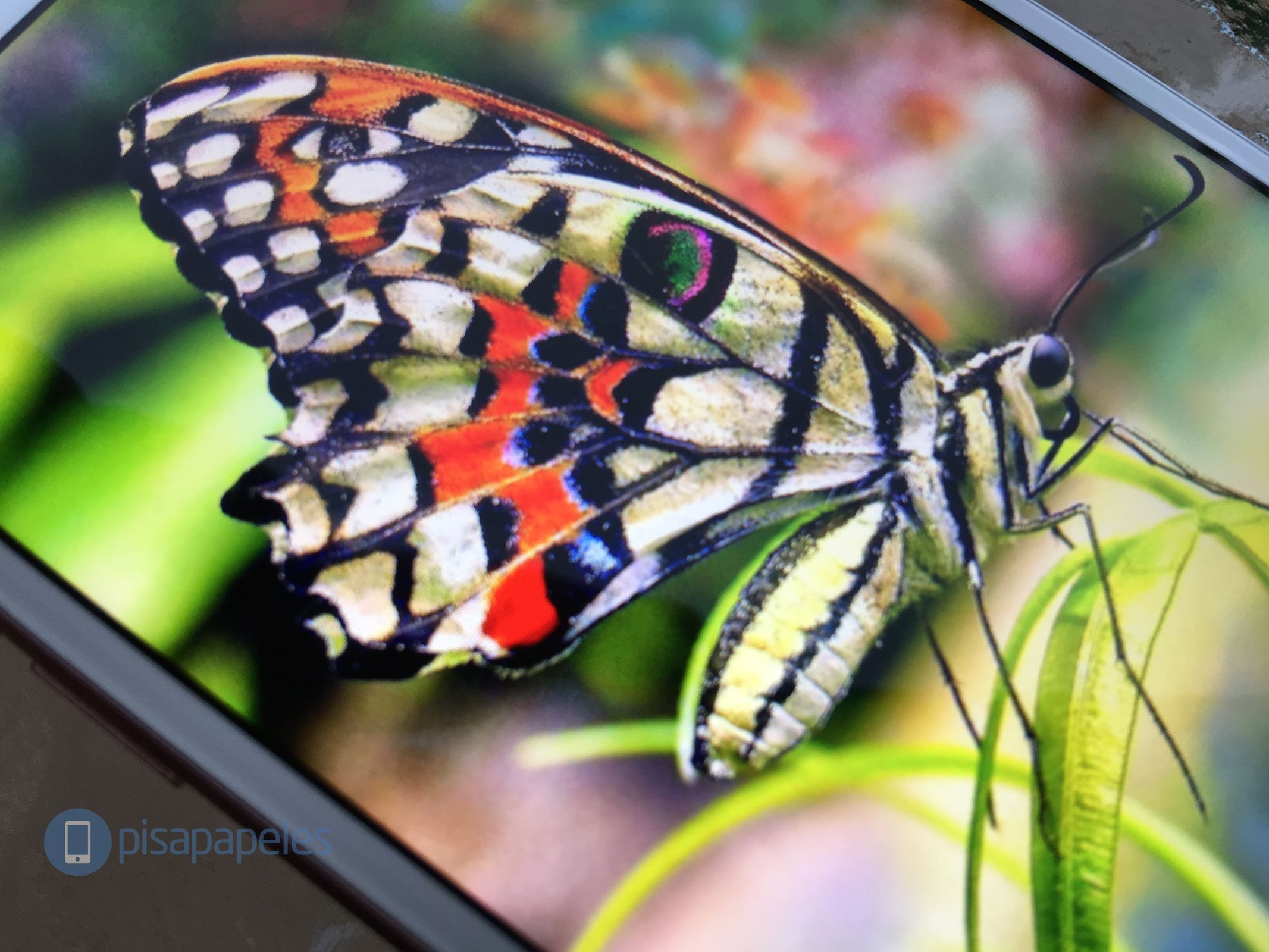 apple-iphone-7-pisapapeles-net_1