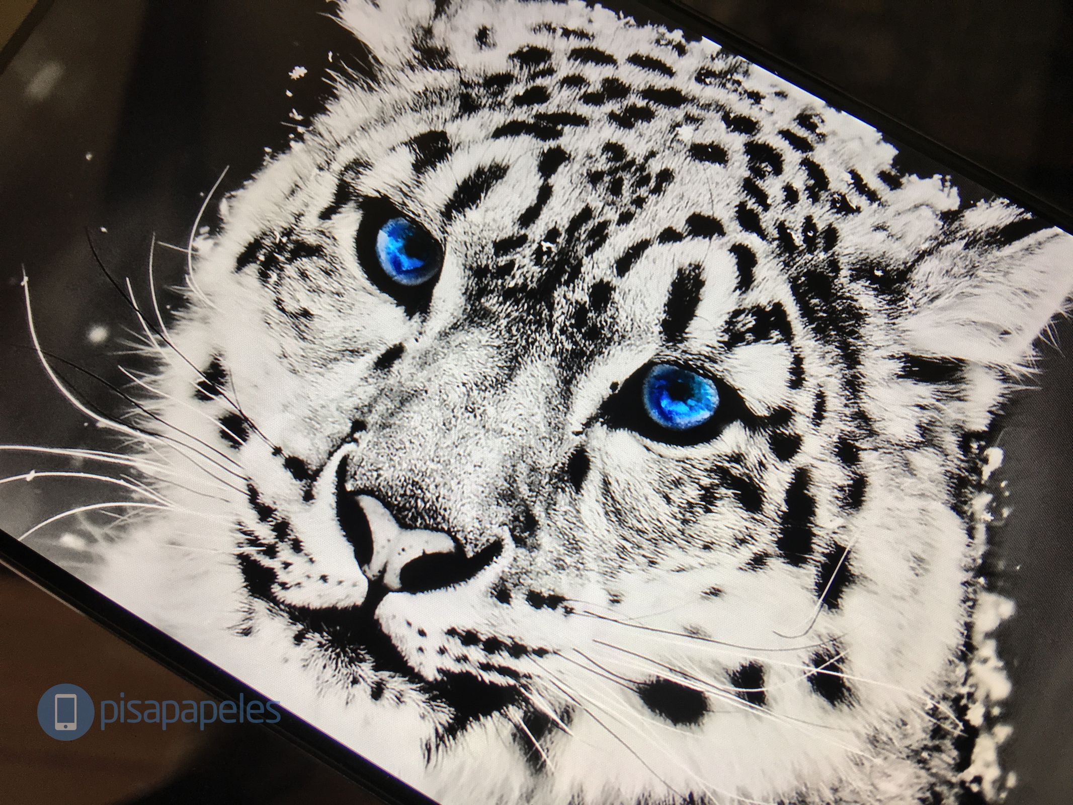 huawei-mate-9-pisapapeles-net_1