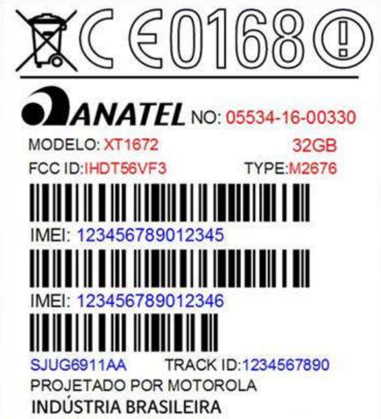 moto-fcc-nuevos-modelos-04
