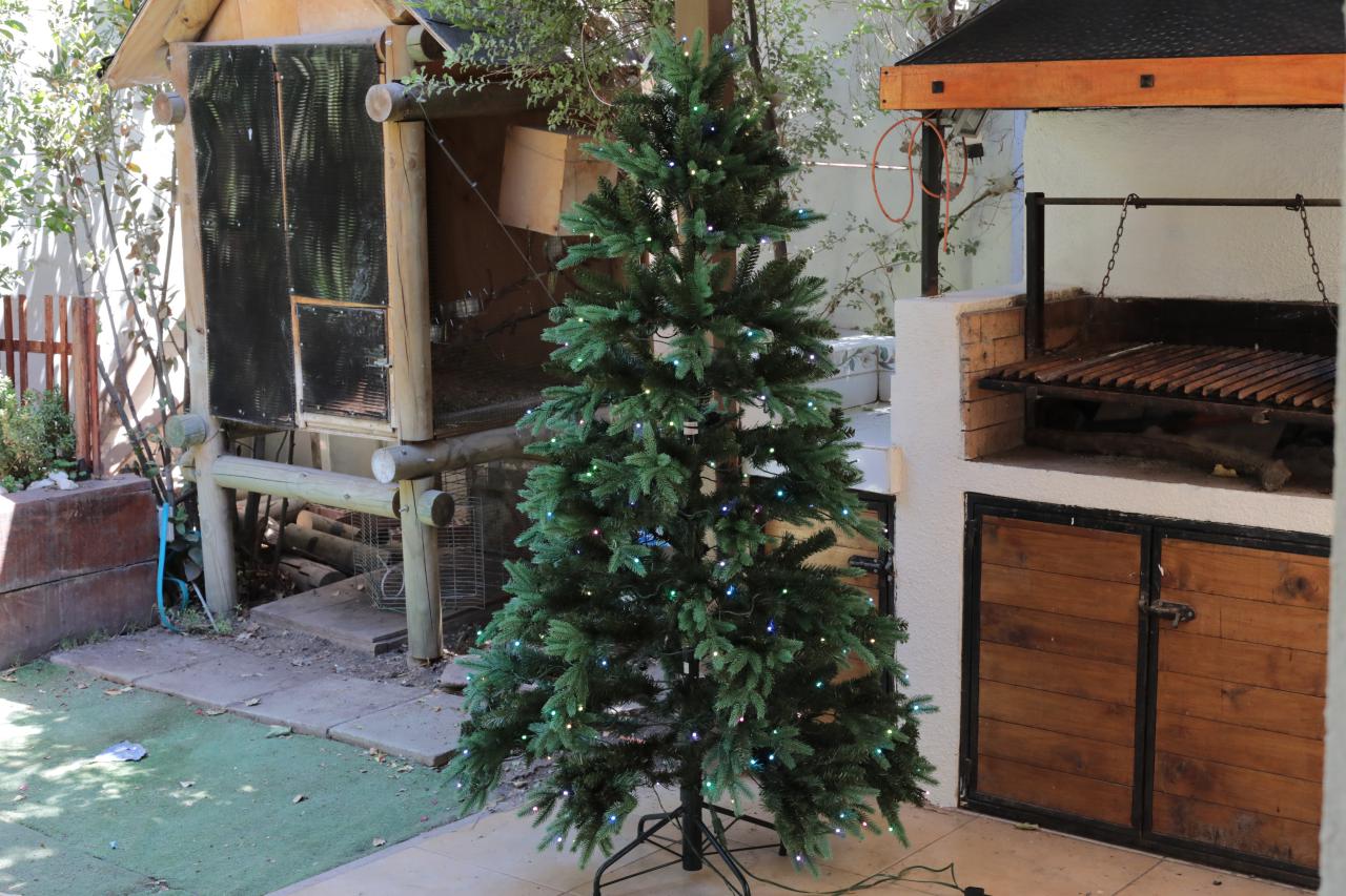 Review Árbol de Navidad inteligente con luces LED Twinkly, image size:1280x853