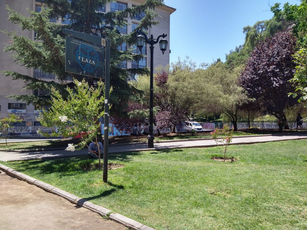 Toma Moto G8 Plus (1)