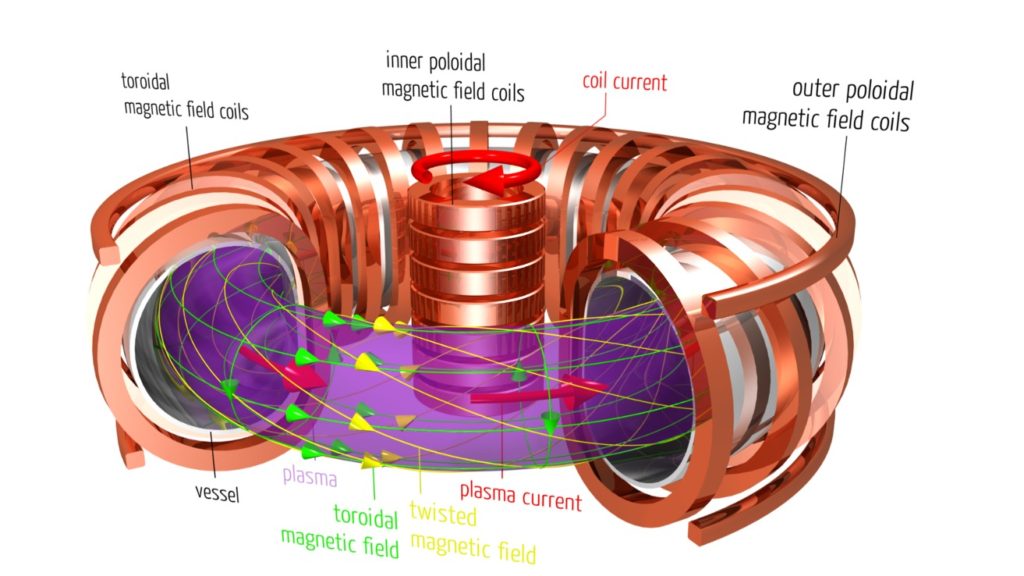 Esquema del tokamak: el plasma (morado) es confinado por campos magnéticos toroidales y poloidales