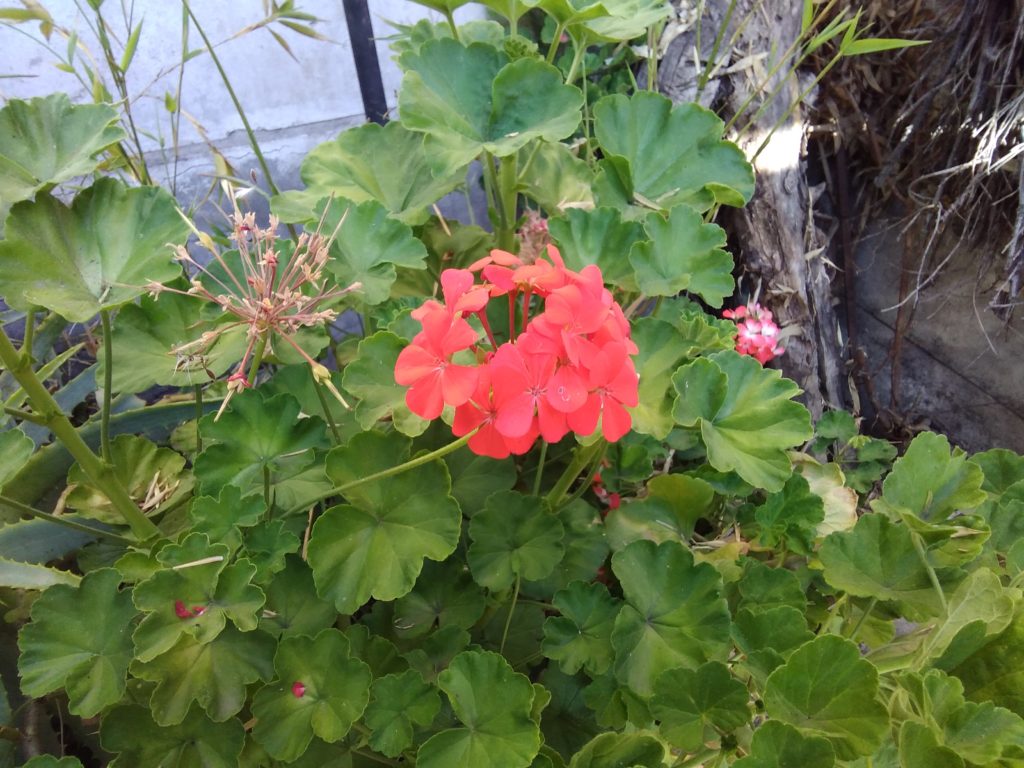 Lenovo Yoga Smart Tab Foto (11)