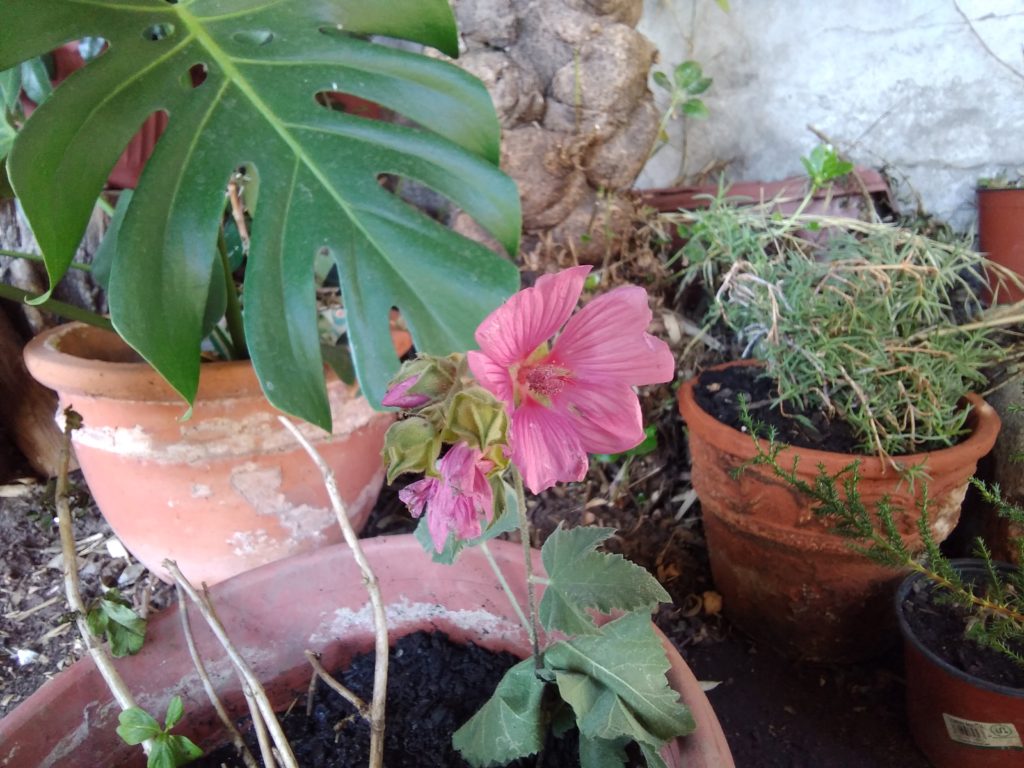 Lenovo Yoga Smart Tab Foto (13)