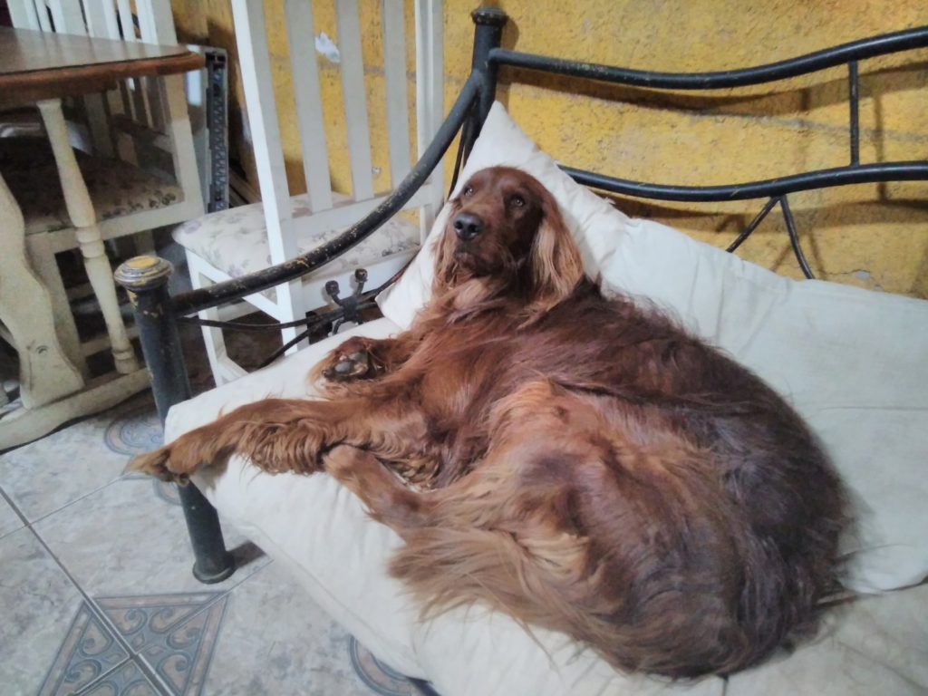 Lenovo Yoga Smart Tab Foto (2)