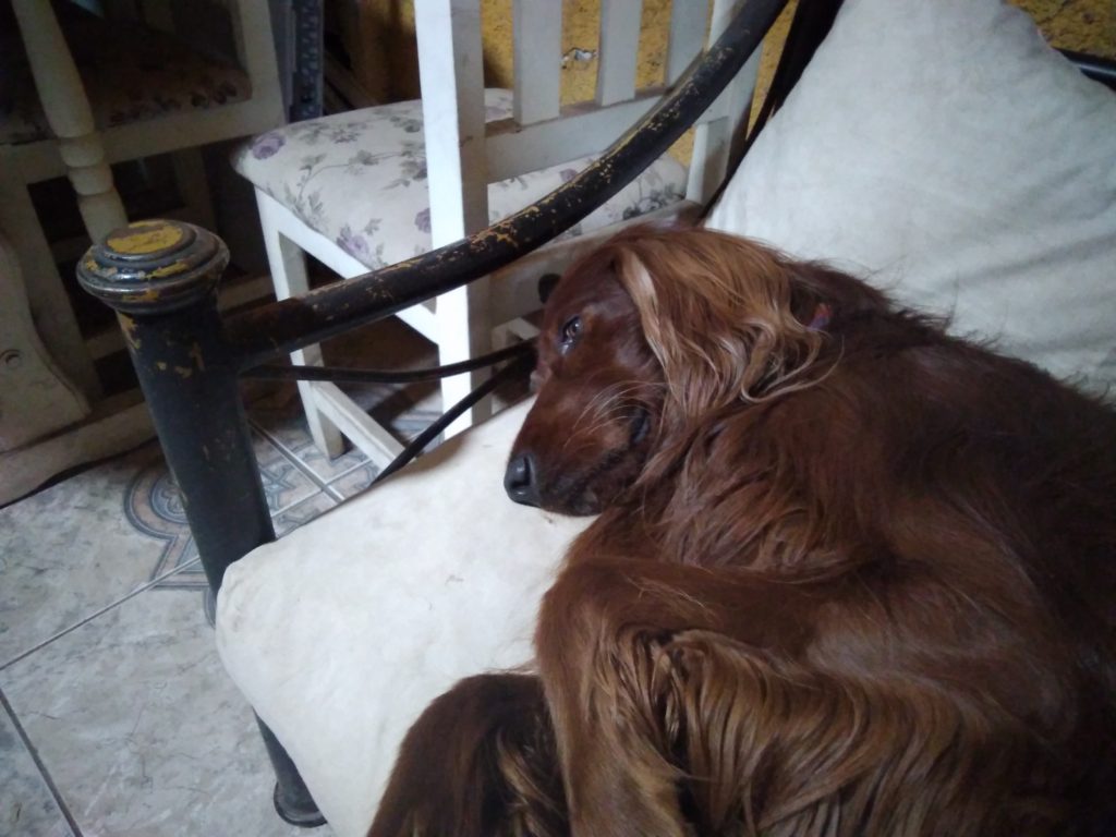 Lenovo Yoga Smart Tab Foto (7)