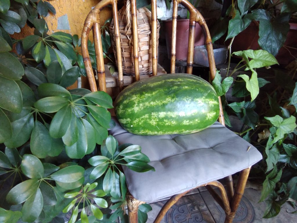 Lenovo Yoga Smart Tab Foto (8)