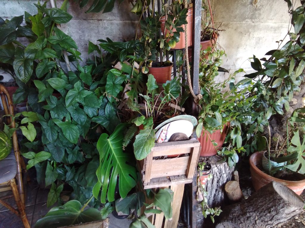 Lenovo Yoga Smart Tab Foto (9)