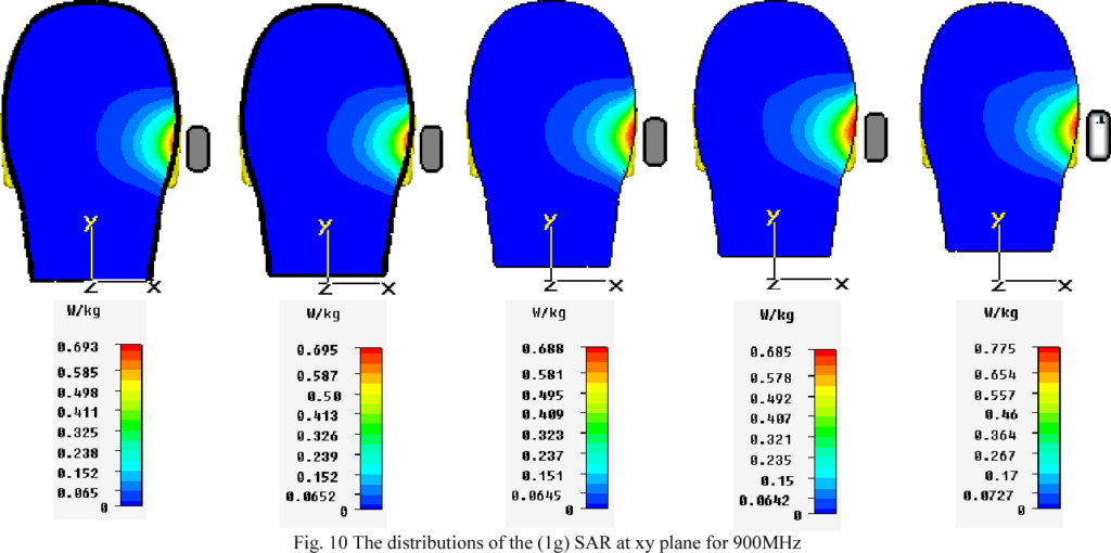 distribución del valor SAR en la cabeza