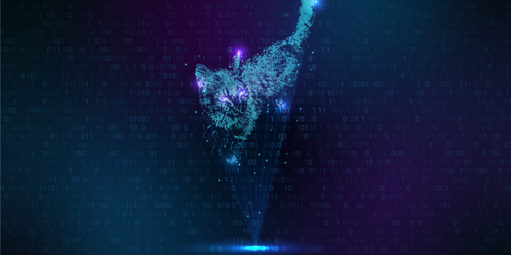 BlackCat ransomware foto 1