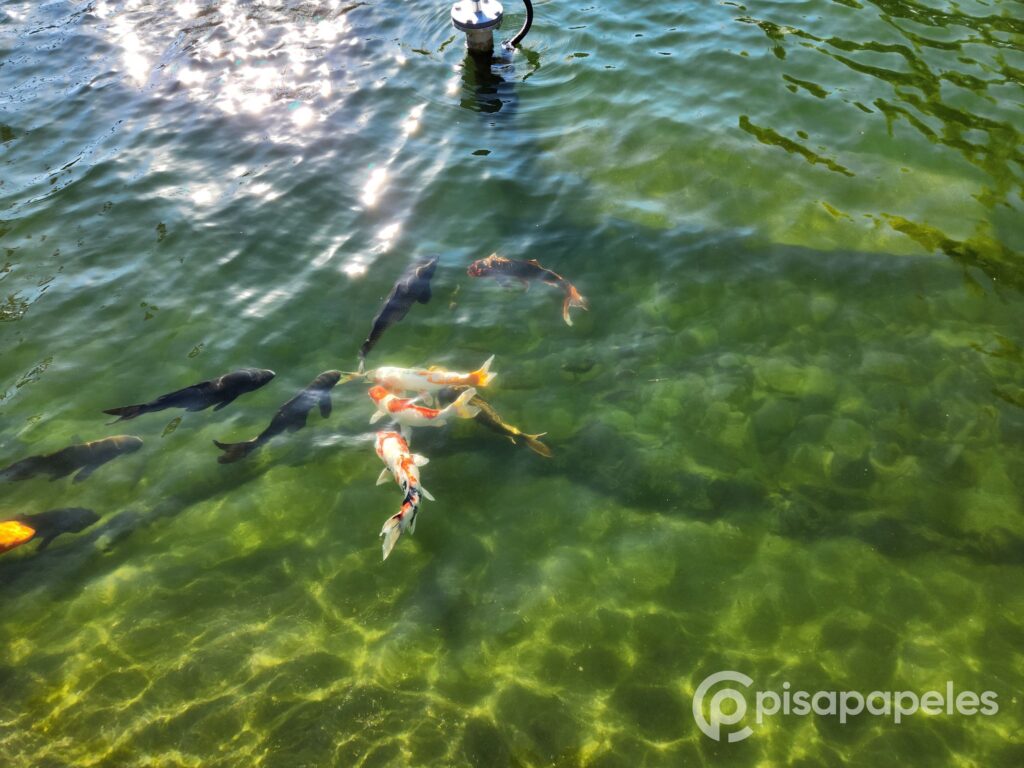 Samsung Digital City Suwon (8)