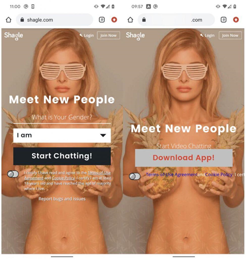 Shagle espionaje para Android 