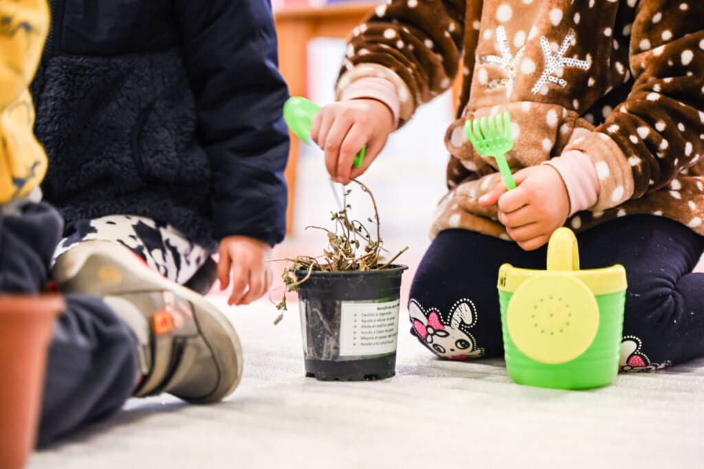 Ministerio de Ciencia y JUNJI