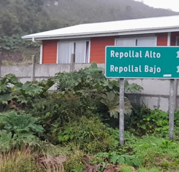Repollal Bajo