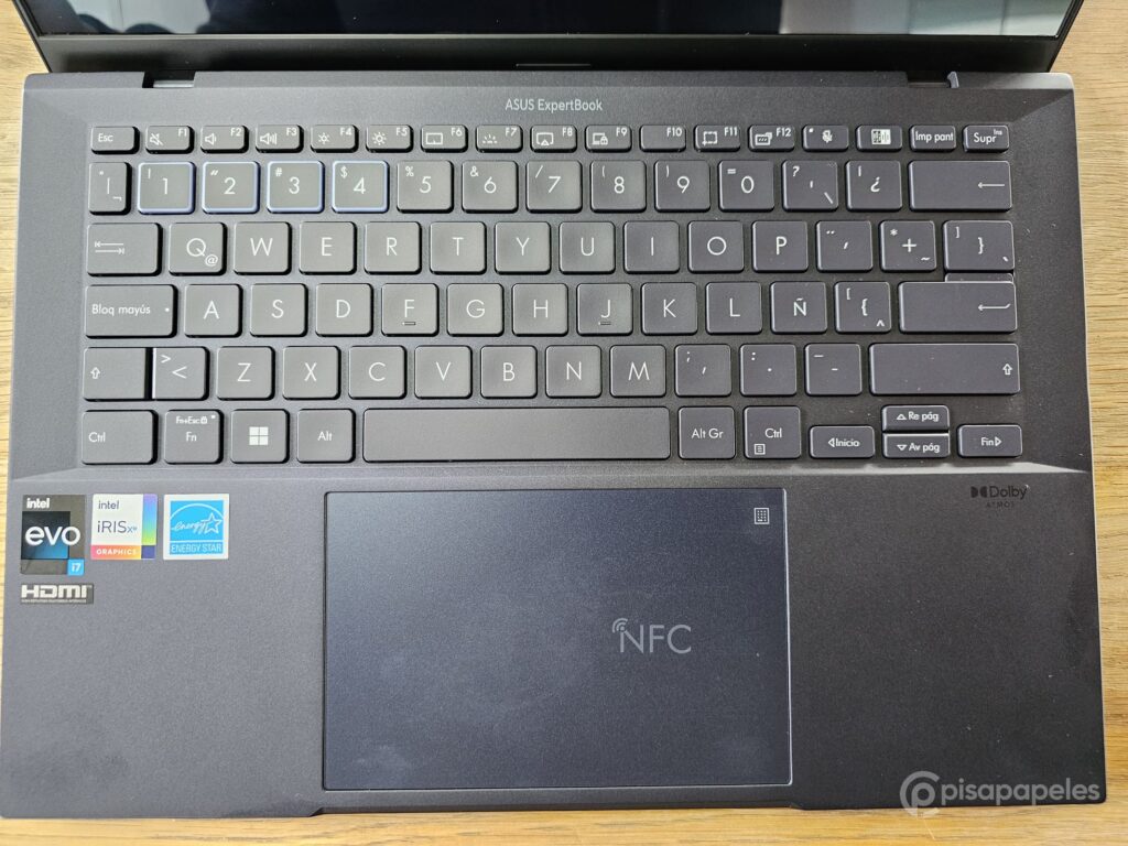 PI ASUS ExpertBook B9 OLED Pisapapeles 21