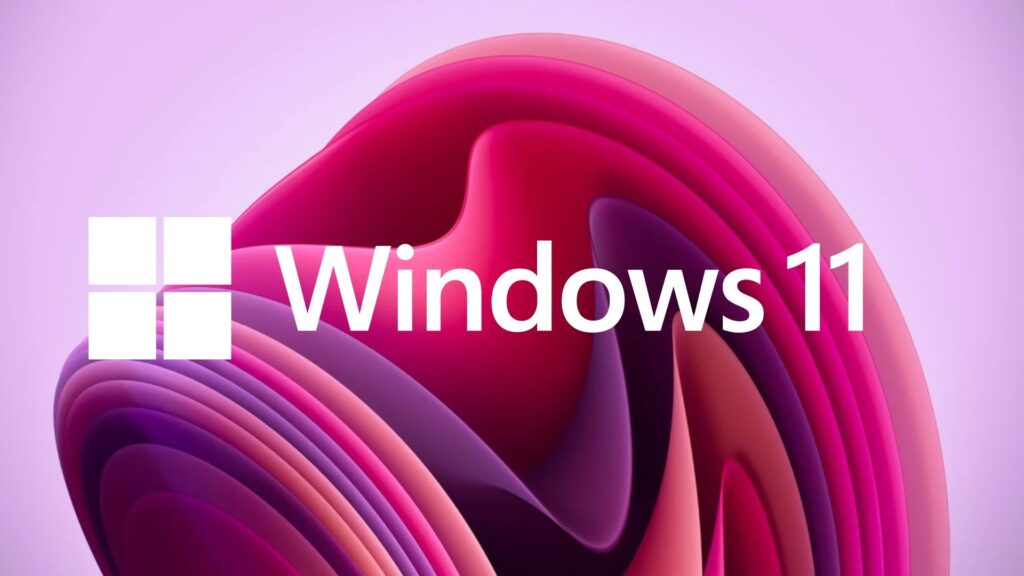 Windows 11 fondo rosado