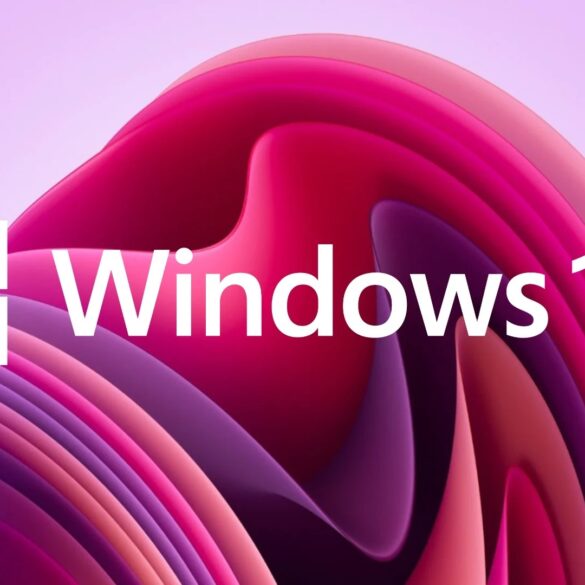 Windows 11 fondo rosado