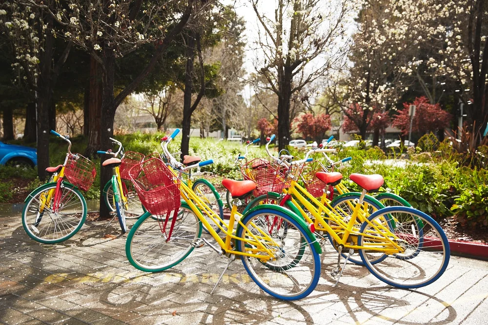 Google 02
