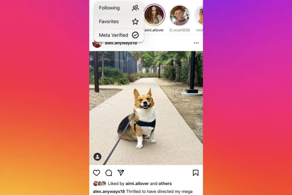 Instagram está probando un feed exclusivo para usuarios verificados