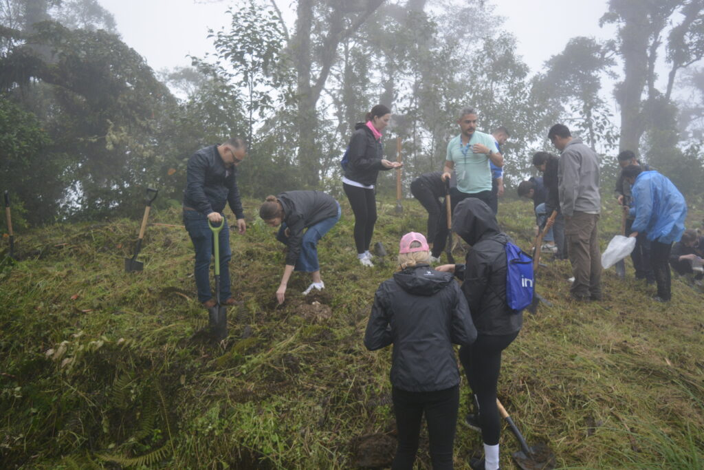 Medio Ambiente y sostenibilidad