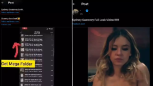 El caso del malware Sydney Sweeney Leak y su impacto en la seguridad