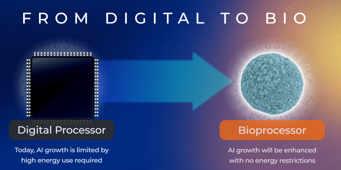 FinalSpark Bioprocesador