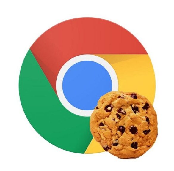 Google Chrome Cookies foto 1