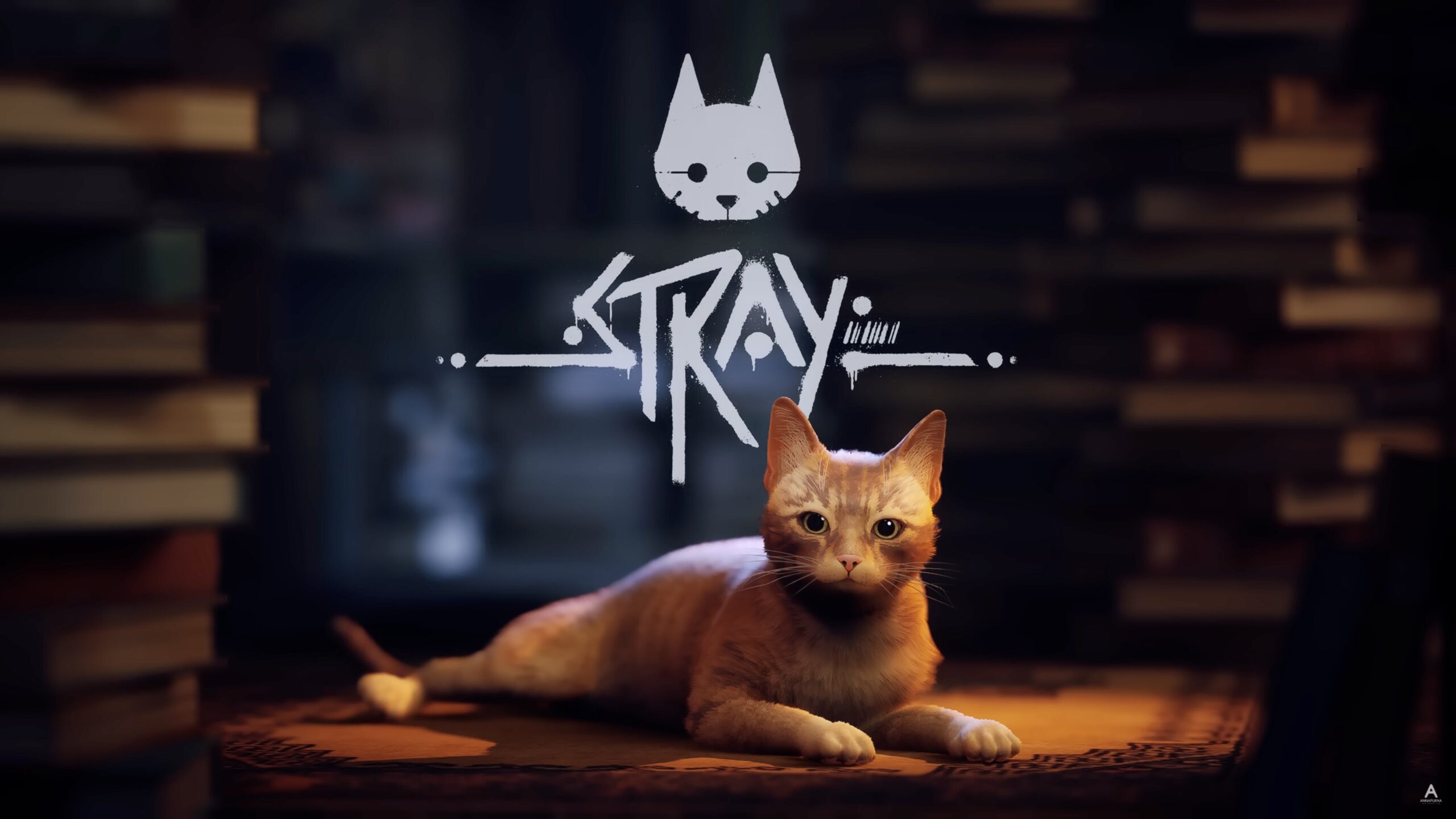 Stray